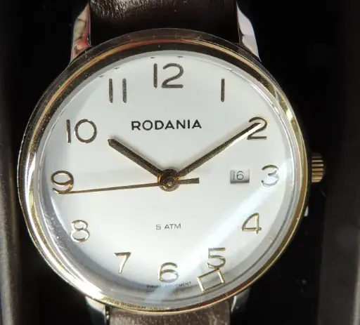 Rodiana montre acier fin bracelet