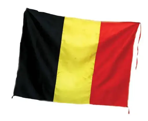 Go Belgium - drapeau 1500x900mm