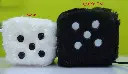 DSCN6103.webp