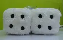 DSCN6102.webp
